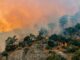 Record-Breaking Global Temperature Highlights the Growing Threat of Global Warming
