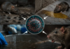 Indonesia Monitors Hantavirus Risk Following Deadly MV Hondius Outbreak Indonesia Monitors Hantavirus Risk Following Deadly MV Hondius Outbreak