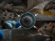 Indonesia Monitors Hantavirus Risk Following Deadly MV Hondius Outbreak Indonesia Monitors Hantavirus Risk Following Deadly MV Hondius Outbreak