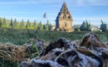 Dieng Temperature Plunges to Minus 6 Degrees Celsius as Thick Frost Threatens Potato Crops Frozen Dew Covers Dieng Again! What You Need to Know Before Chasing the Chill