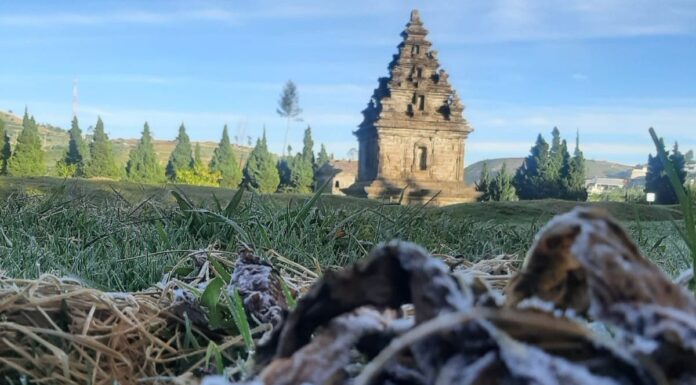 Frozen Dew Covers Dieng Again! What You Need to Know Before Chasing the Chill Frozen Dew Covers Dieng Again! What You Need to Know Before Chasing the Chill