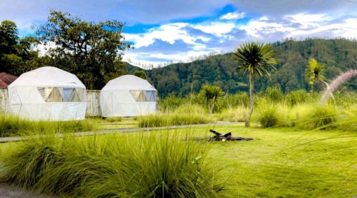 Experience a New Staycation? Igloo Glamping Bali Might be the Perfect Choice! Igloo Glamping Bali