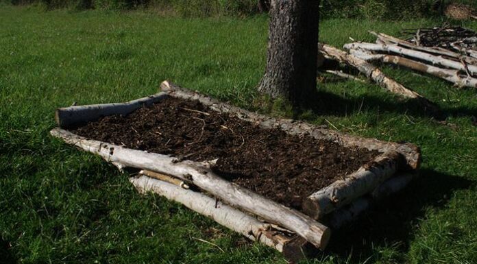California Legalizes Human Remains for Fertilizer. Wow!