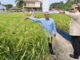 Prabowo Says Indonesia Can Become One of the World’s Rice Granaries Prabowo Says Indonesia Can Become One of the World's Rice Granaries