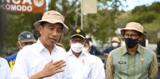 Jokowi Encourages Early Coconut Planting to Face the Food Crisis