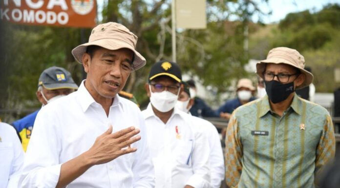 Jokowi Encourages Early Coconut Planting to Face the Food Crisis