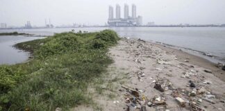Utilization of Island G Involves Many Parties