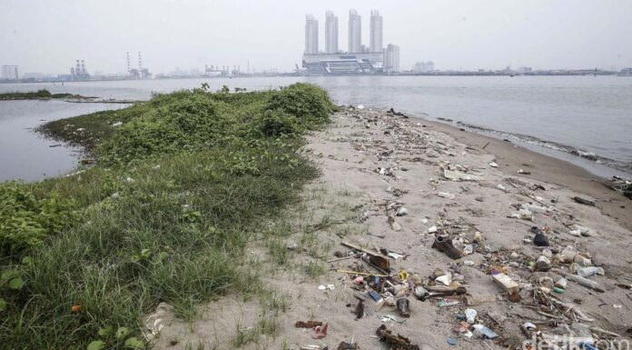 Utilization of Island G Involves Many Parties