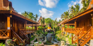 Lodtunduh Village in Bali Revives Balinese Junglefowl Habitat to Boost Tourism Lodtunduh Village