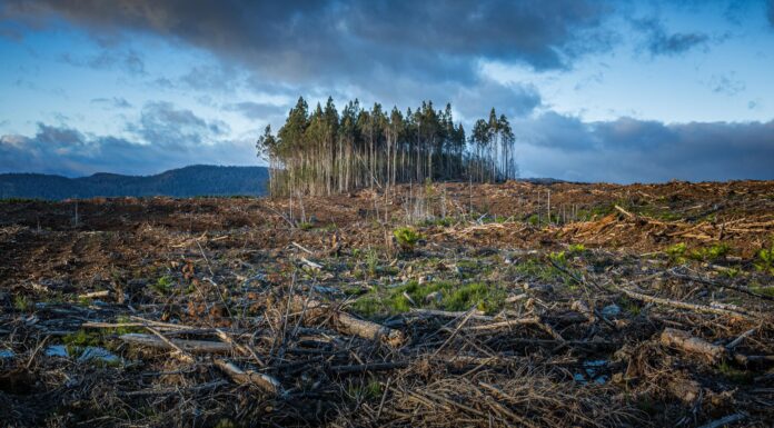 Indonesia Unveils Three Strategies to Tackle Global Climate Change