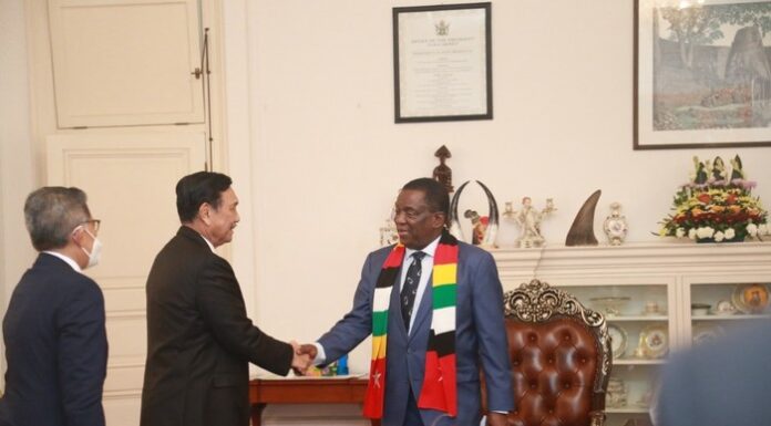 Explore Cooperation with African Countries, Indonesia to Supply Electricity to South Africa