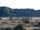 Mount Bromo to Temporarily Close Ahead of 2025 Holidays Mount Bromo to Temporarily Close Ahead of 2025 Holidays