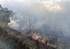 Mount Bromo Restricts Tourist Access as Forest Fire Response Continues A forest fire has temporarily changed the way visitors can experience Mount Bromo, one of Indonesia's most famous natural attractions. While the destination remains open through selected routes, authorities have restricted access to several areas to support firefighting efforts and ensure the safety of both visitors and emergency personnel.