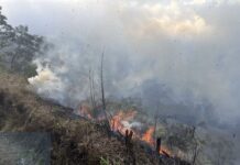 Mount Bromo Restricts Tourist Access as Forest Fire Response Continues A forest fire has temporarily changed the way visitors can experience Mount Bromo, one of Indonesia's most famous natural attractions. While the destination remains open through selected routes, authorities have restricted access to several areas to support firefighting efforts and ensure the safety of both visitors and emergency personnel.
