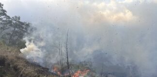 Mount Bromo Restricts Tourist Access as Forest Fire Response Continues A forest fire has temporarily changed the way visitors can experience Mount Bromo, one of Indonesia's most famous natural attractions. While the destination remains open through selected routes, authorities have restricted access to several areas to support firefighting efforts and ensure the safety of both visitors and emergency personnel.