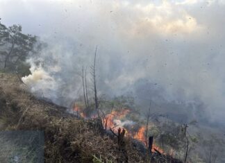 Mount Bromo Restricts Tourist Access as Forest Fire Response Continues A forest fire has temporarily changed the way visitors can experience Mount Bromo, one of Indonesia's most famous natural attractions. While the destination remains open through selected routes, authorities have restricted access to several areas to support firefighting efforts and ensure the safety of both visitors and emergency personnel.