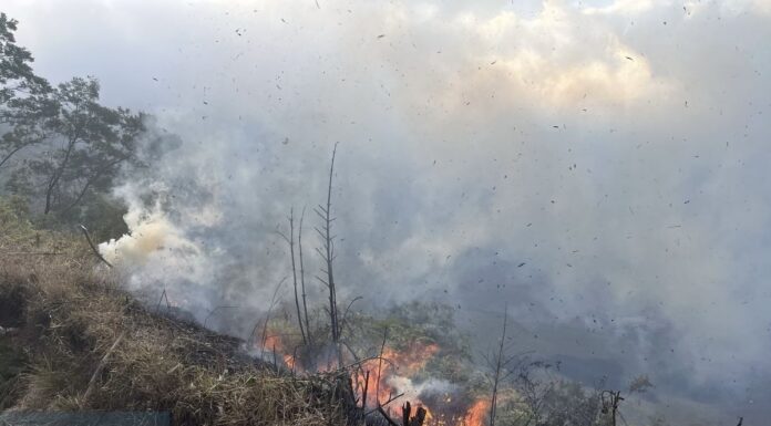 Mount Bromo Restricts Tourist Access as Forest Fire Response Continues A forest fire has temporarily changed the way visitors can experience Mount Bromo, one of Indonesia's most famous natural attractions. While the destination remains open through selected routes, authorities have restricted access to several areas to support firefighting efforts and ensure the safety of both visitors and emergency personnel.