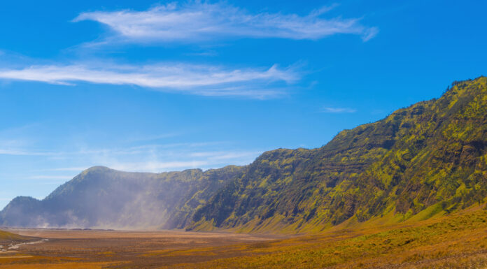 4 Rehabilitation Schemes in Preparation to “Renew” Mount Bromo Yellow field with mountains. Bromo Savanna Green Hill in the national park on travel trip and holidays vacation concept, East Java, Indonesia (photo: Envato elements)