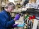 Recent Study Reveals Drugs Can Extend Lifespan