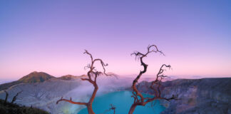 Starting from Rp 350,000, Indonesia Offers 3B Tour Package to Explore Banyuwangi and Bali Banyuwangi