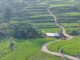 Bandung Has a Beautiful Rice Field Area That’s Gone Viral, Similar to Ubud, Bali! Cisema Rice Fields