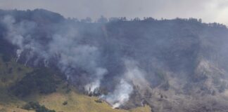 Massive Wildfire in Bromo National Park Sparks Billions in Potential Losses