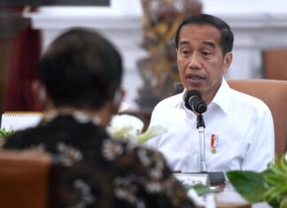 President Jokowi Highlights Economic Progress and Stability Post-2024 Elections