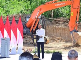 Jokowi Envisions Nusantara Capital as Large-Scale Concert Hub and Digital Nomad Haven