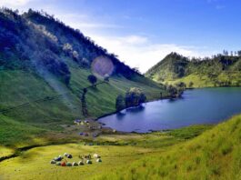 Semeru Reopens on April 24, 2026, Hiking Limited to Ranu Kumbolo