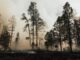 BNPB Says Haze in Malaysia and Singapore Not Necessarily from Indonesian Forest Fires forest fires impacting air quality