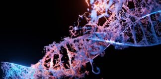DNA Testing Could Prevent 70% of Death Causes in Indonesia