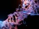 DNA Testing Could Prevent 70% of Death Causes in Indonesia