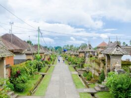 Tourists Flock to Penglipuran Village, Renowned as the Cleanest Village in the World