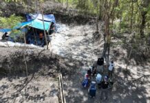 Ancient Elephant and Komodo Fossils Found in East Nusa Tenggara