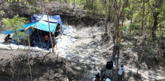Ancient Elephant and Komodo Fossils Found in East Nusa Tenggara