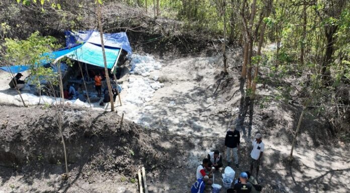 Ancient Elephant and Komodo Fossils Found in East Nusa Tenggara