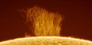 Astrophotographer Captures Stunning Image of Solar Plasma Burst