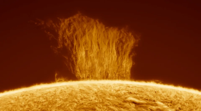 Astrophotographer Captures Stunning Image of Solar Plasma Burst