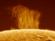 Astrophotographer Captures Stunning Image of Solar Plasma Burst