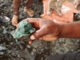 Indonesia Is The Second Largest Cobalt Producer In The World
