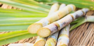 Government Intensifies Efforts to Achieve National Sugar Self-Sufficiency