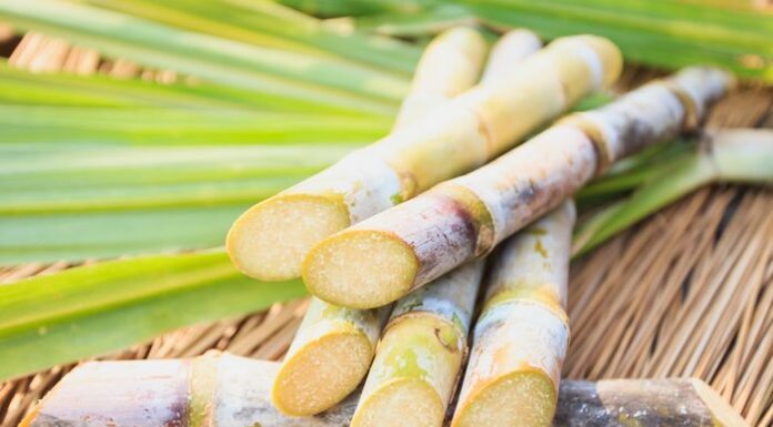 Government Intensifies Efforts to Achieve National Sugar Self-Sufficiency