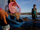 Getting to Know Bau Nyale from Lombok, The Legendary Sea Worm Hunting Tradition Getting to Know Bau Nyale from Lombok, The Legendary Sea Worm Hunting Tradition