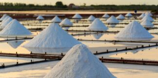 Indonesia Exceeds Salt Production Targets by 147%, Empowering Coastal Communities Indonesia Exceeds Salt Production Targets by 147%, Empowering Coastal Communities