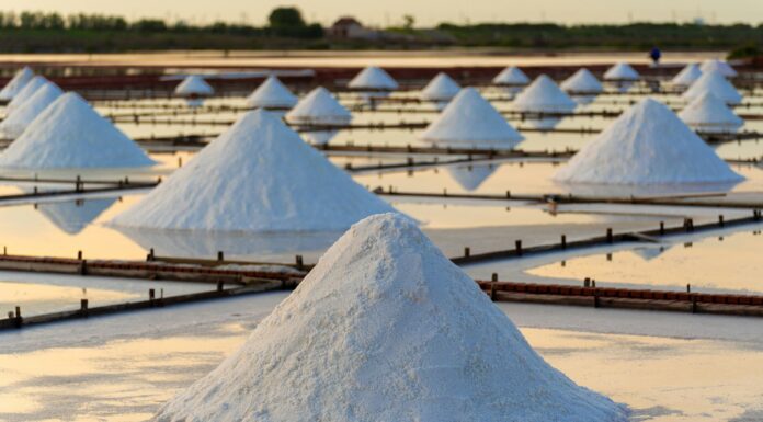 Indonesia Exceeds Salt Production Targets by 147%, Empowering Coastal Communities Indonesia Exceeds Salt Production Targets by 147%, Empowering Coastal Communities