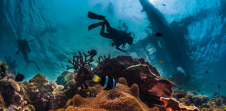 The Trend of Adventure Tourism in Indonesia Predicted to Grow Rapidly The Trend of Adventure Tourism in Indonesia Predicted to Grow Rapidly