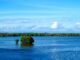Supporting the AIS Forum 2023, Bali Fishermen Plant 500 Mangrove Seedlings
